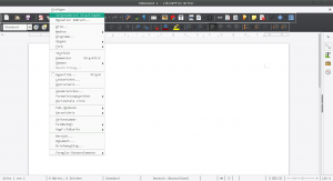 Unbenannt 1 - LibreOffice Writer_007.png